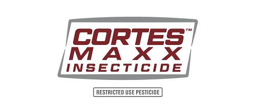 Generic Mustang Maxx: (Cortes MAXX, Datsun)