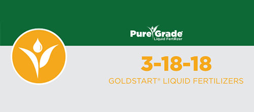 Goldstart 3-18-18 (80/20)