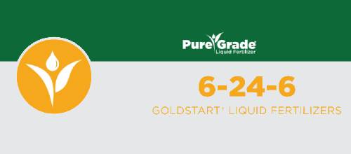 Goldstart 6-24-6 (80/20)