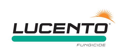 Lucento
