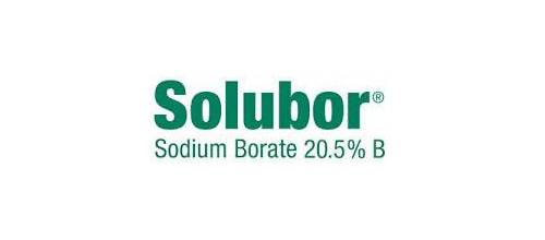 Solubor 20.5% Dry
