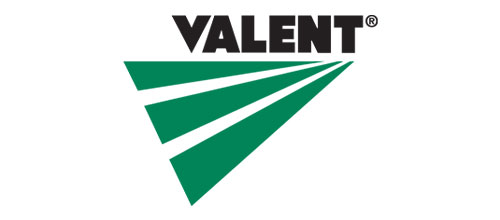 Valent-img