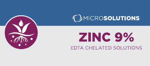 Zinc 9%